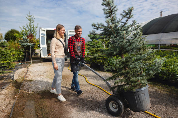 Best Tree Branch Trimming  in Salisbury, NC